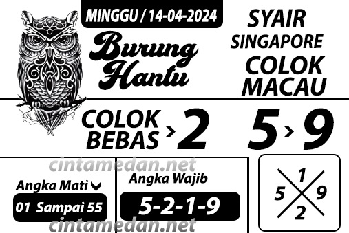 SYAIR SGP VIP